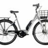 Ecoride Ambassador AXS M-5 E6 28″ – Silver