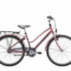 Crescent Lone 24″ 7-vxl Rosa