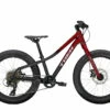 Trek Roscoe 20″