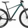 Cannondale Trail SE 2