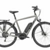 Trek Verve+ 2 Herr – Silver